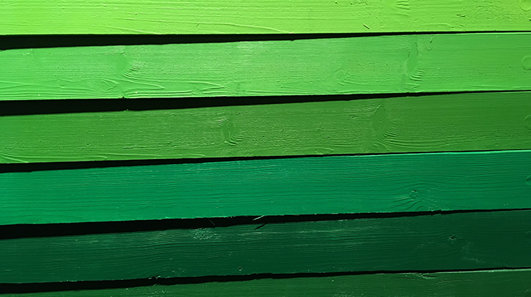 5 tons de verde que tornam o quarto sofisticado e relaxante